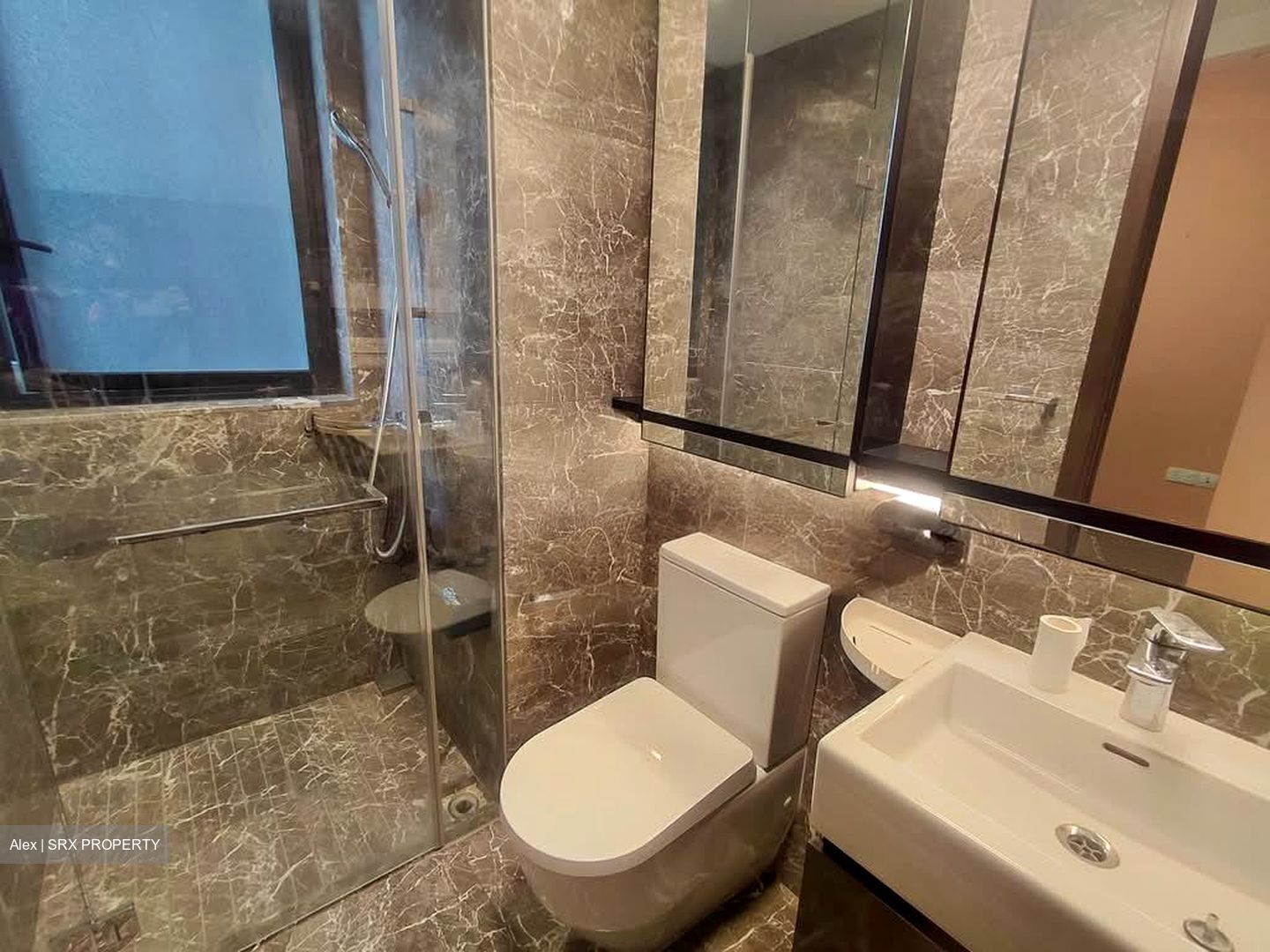 Amber 45 (D15), Apartment #578710981